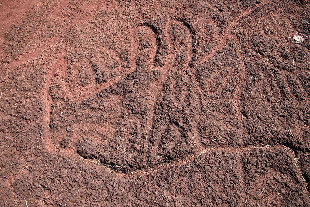 Baix&atilde;o das Mulheres Trail