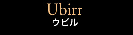 Ubirr Rock Art