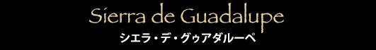 Sierra de Guadalupe