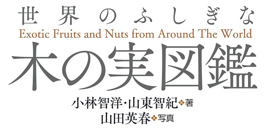 ���E�̂ӂ����Ȗ؂̎��}��