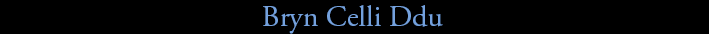 Bryn Celli Ddu